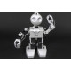 JD - Humanoid Intelligent Robot